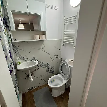 Damian Confort Zone Apartment Timisoara